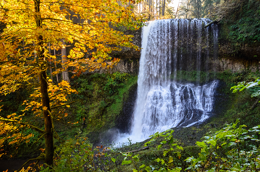 Waterfall at Silver Falls State Park