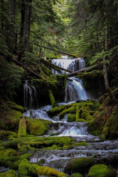 Mount Adams Mossy Waterfall - Sarah Weber